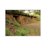 dugouts burra
